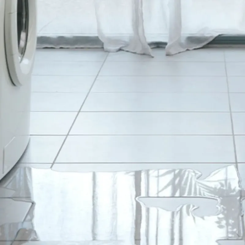 Appliance Leak Cleanup in East Independence, MO