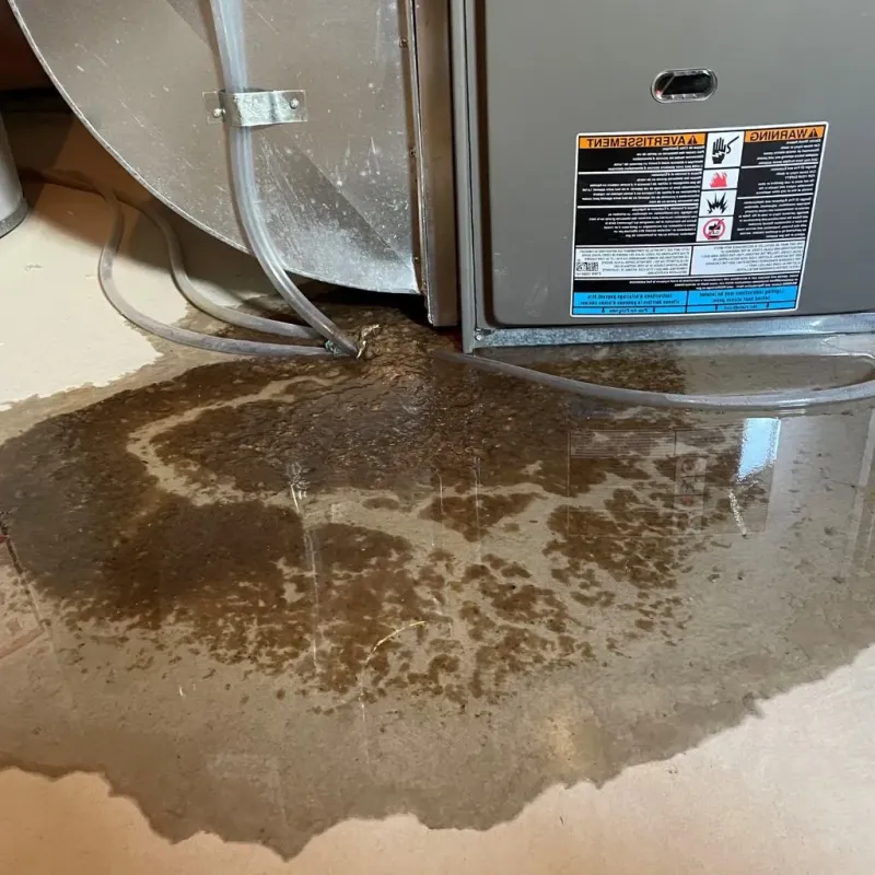 Pipe Burst and Leak Restoration in East Independence, MO